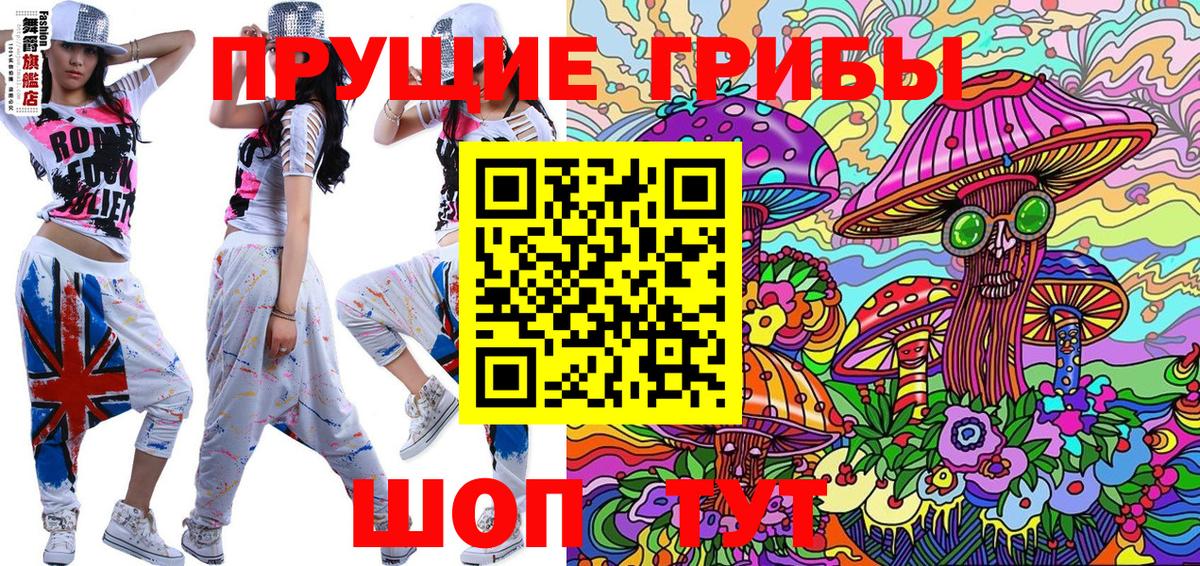 Псилоцибиновые грибы Psilocybe  Вход с VPN  Бутурлиновка 
