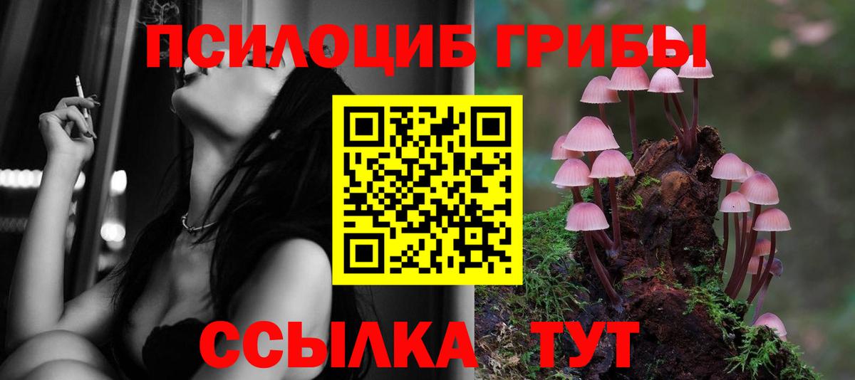 Галлюциногенные грибы ЛСД Бутурлиновка